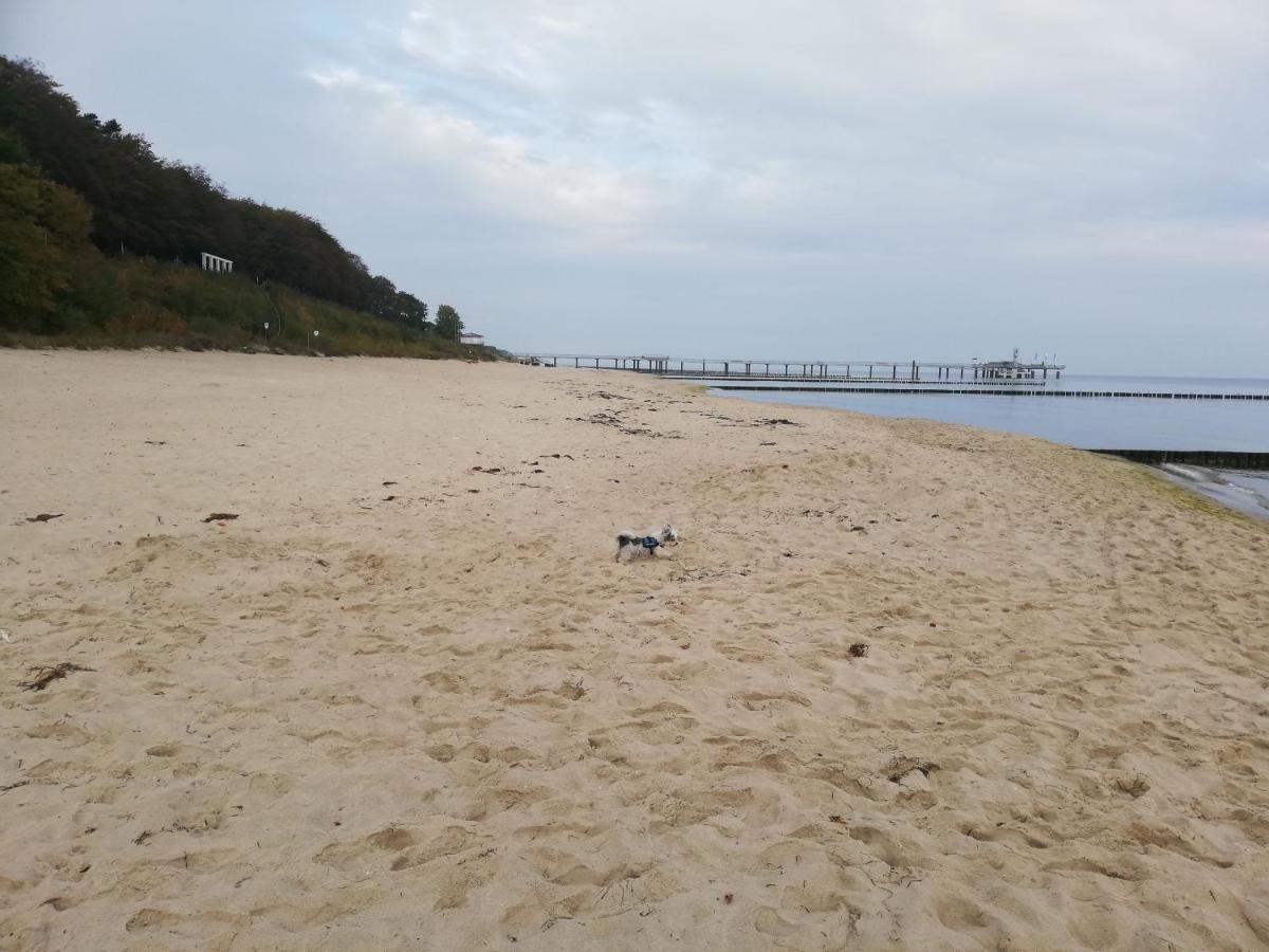 Ostseetraum 科瑟罗 外观 照片